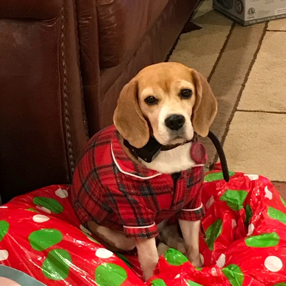 Meet your Posher, Amy - Picture 1 of 1